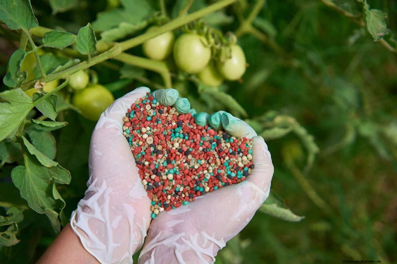 Voordelen van composteren:25 redenen om vandaag te beginnen | Bodemgezondheid en tuintips 
