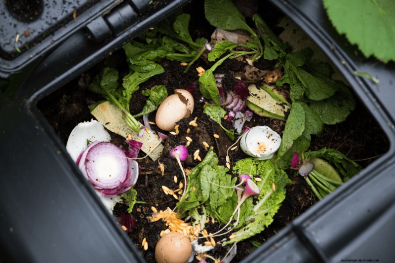 Voordelen van composteren:25 redenen om vandaag te beginnen | Bodemgezondheid en tuintips 