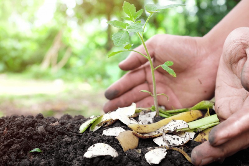 Voordelen van composteren:25 redenen om vandaag te beginnen | Bodemgezondheid en tuintips 