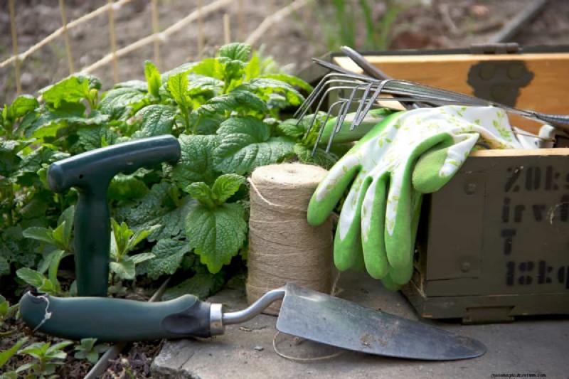 Capire il fertilizzante:una guida per una crescita sana del giardino 