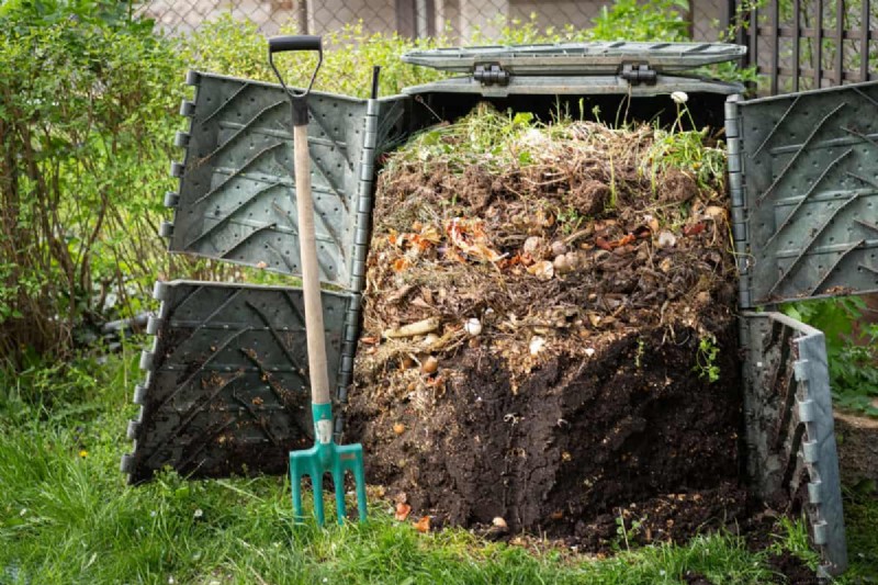 Capire il fertilizzante:una guida per una crescita sana del giardino 