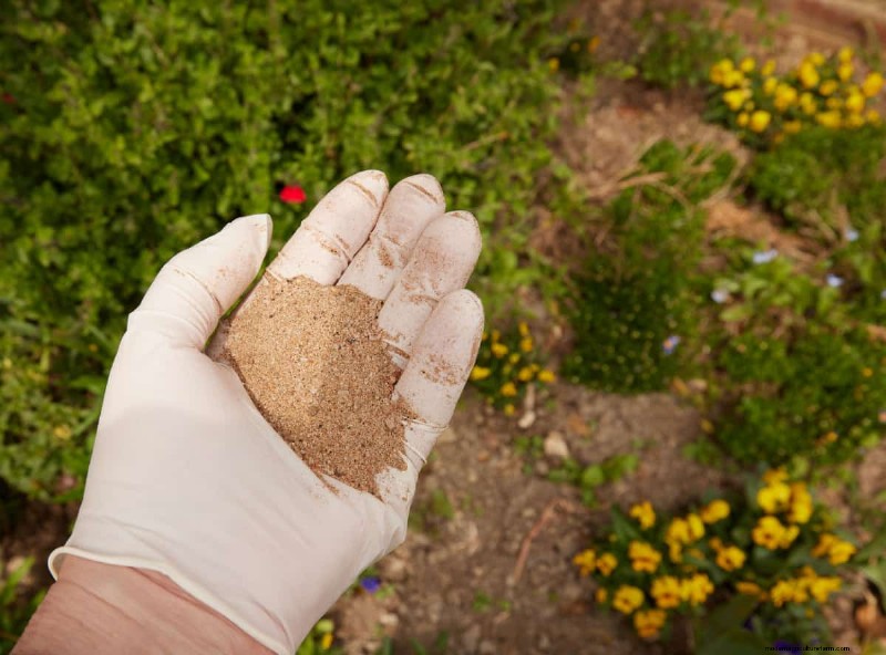 Capire il fertilizzante:una guida per una crescita sana del giardino 