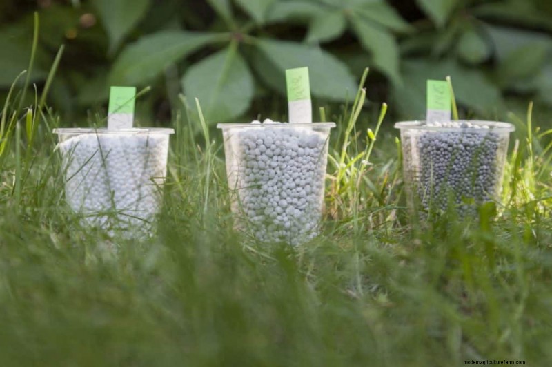 Capire il fertilizzante:una guida per una crescita sana del giardino 