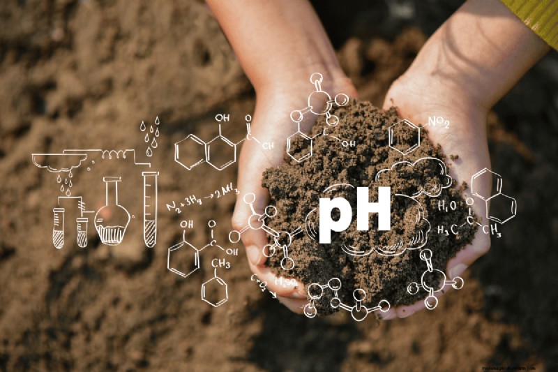 Bodem-pH:de ultieme gids voor optimale tuingezondheid 