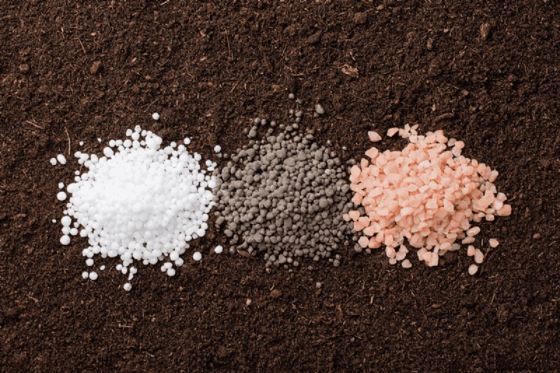 Bodem-pH:de ultieme gids voor optimale tuingezondheid 