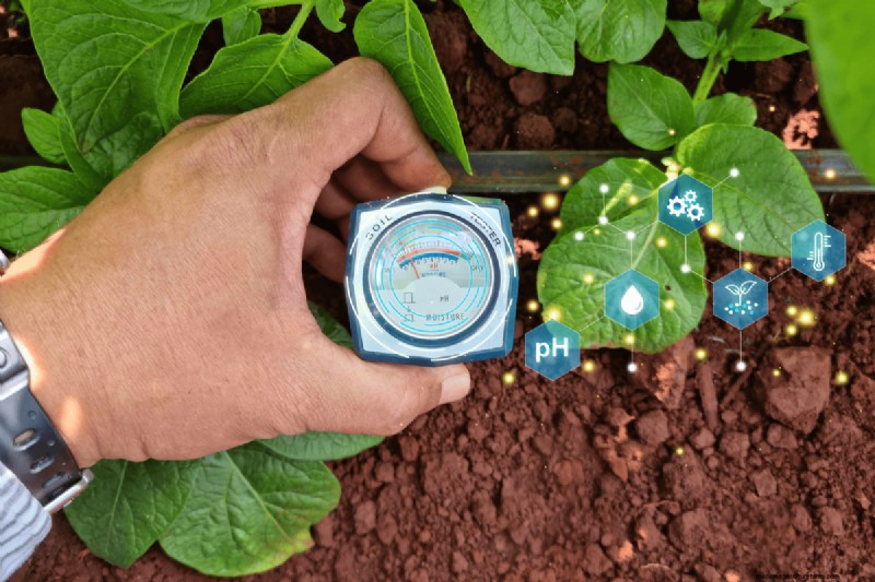 Bodem-pH:de ultieme gids voor optimale tuingezondheid 