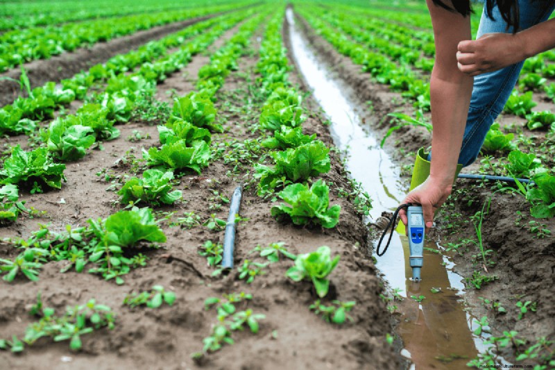 Bodem-pH:de ultieme gids voor optimale tuingezondheid 