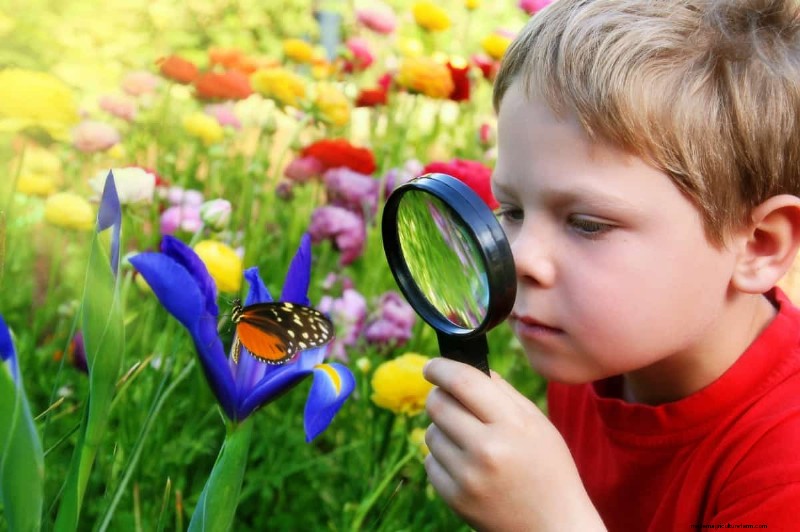 15 unterhaltsame Möglichkeiten, bei Kindern eine lebenslange Liebe zur Gartenarbeit zu wecken 