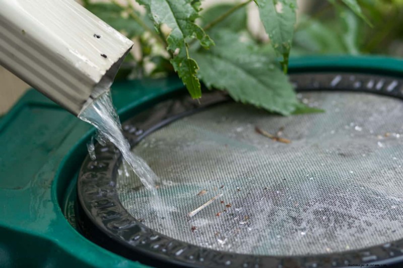 Barris de chuva:conservação da água e benefícios do jardim | [Sua marca/nome do site] 