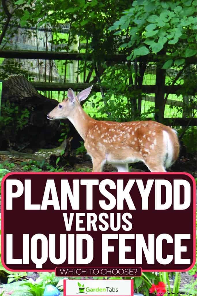 Plantskydd vs. Pagar Cair:Perbandingan Komprehensif untuk Perlindungan Taman 