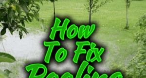 Hilangkan Penumpukan Air di Halaman:Penyebab &Solusi 
