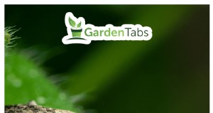 Controllo delle larve del punteruolo della vite:metodi comprovati per la protezione del giardino 