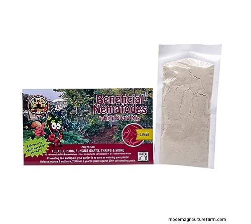 Vine Weevil Grub Control:beproefde methoden voor tuinbescherming 