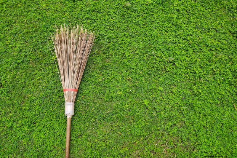 Schützen Sie Ihren Rasen:Effektive Methoden zum Entfernen von Kiefernnadeln 