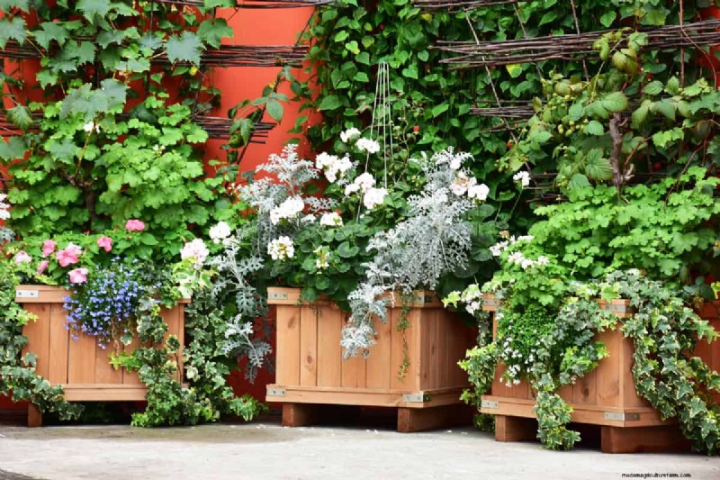 Fioriere impermeabili:guida fai da te e metodi migliori per i contenitori da giardino 