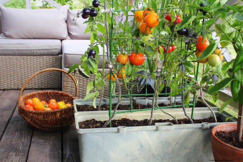 Fioriere impermeabili:guida fai da te e metodi migliori per i contenitori da giardino 