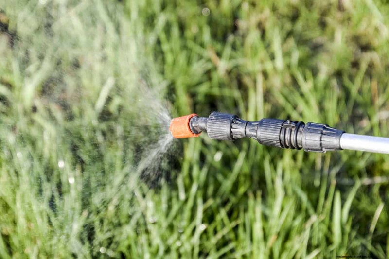 Vloeibaar afweermiddel:korrelig versus vloeibaar – wat is het beste voor uw tuin? 