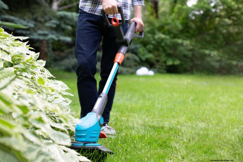 Grasschere vs. Rasentrimmer:Welche eignet sich am besten für Rasenkanten? 