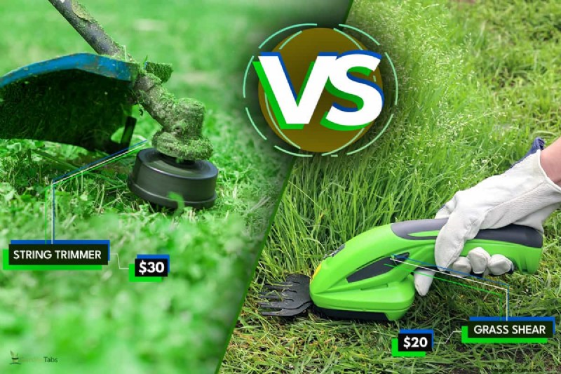 Grasschere vs. Rasentrimmer:Welche eignet sich am besten für Rasenkanten? 