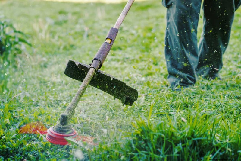 Grasschere vs. Rasentrimmer:Welche eignet sich am besten für Rasenkanten? 