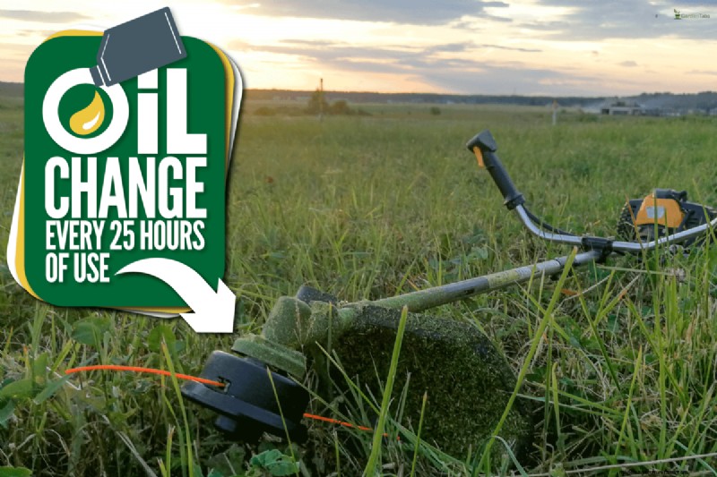 Ryobi 4-Cycle Weed Eater Oil:het juiste smeermiddel kiezen 