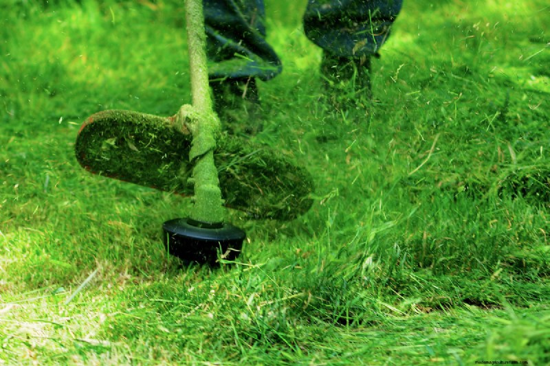 Ryobi 4-Cycle Weed Eater Oil:het juiste smeermiddel kiezen 