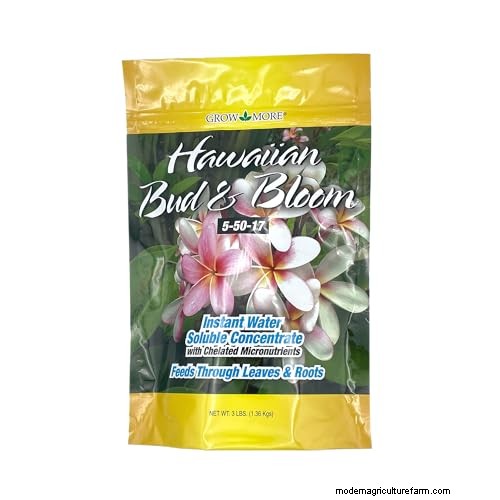 Plumeria-zaaddozen:een complete gids voor oogsten en groeien 