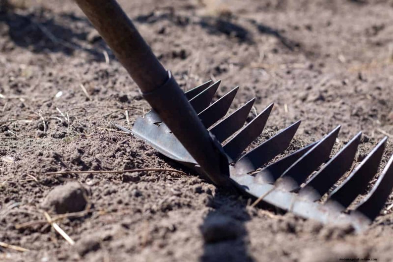 Landschapshark versus egalisatiehark:het juiste gereedschap voor uw tuin kiezen 