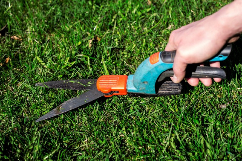 Het beheersen van de aanpassing van de grasschaar:een uitgebreide gids 