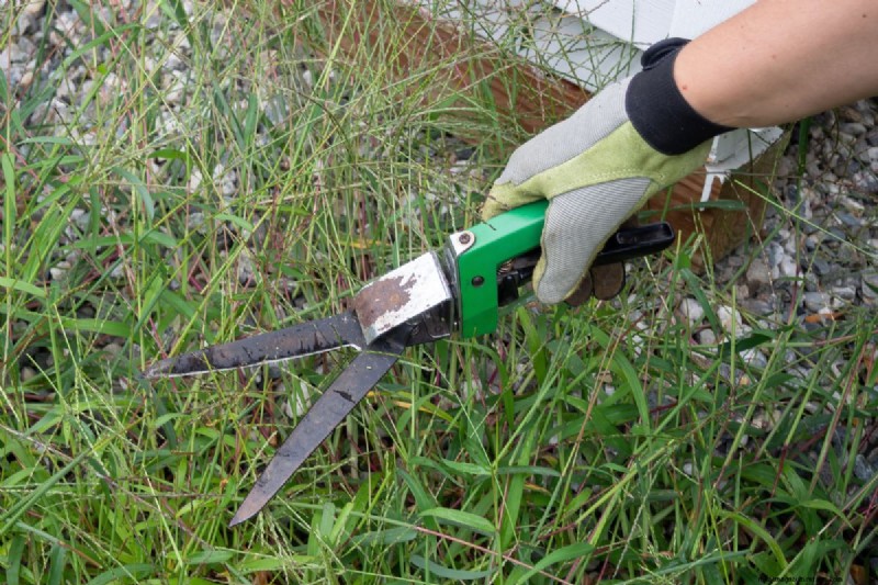 Het beheersen van de aanpassing van de grasschaar:een uitgebreide gids 