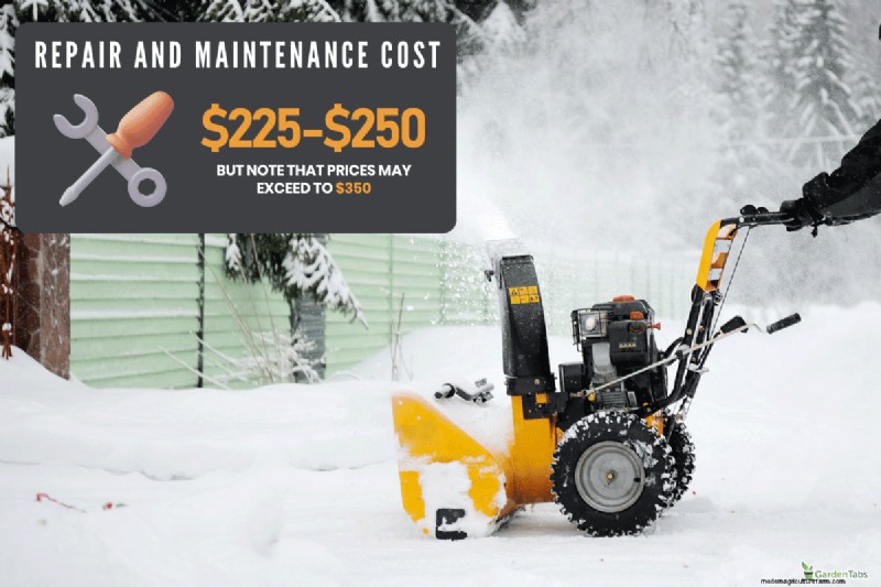 Risoluzione dei problemi:lo spazzaneve Cub Cadet non si avvia dopo lo stoccaggio 
