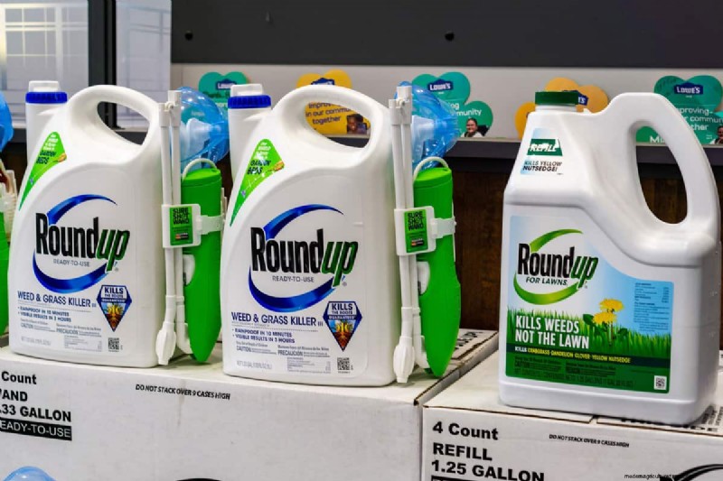 Roundup versus Nutsedge:doodt Roundup dit onkruid effectief? 
