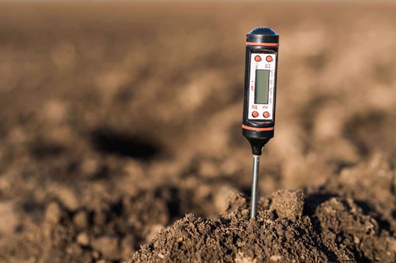 Doorweekte versus vochtige grond:het verschil voor gezonde planten begrijpen 