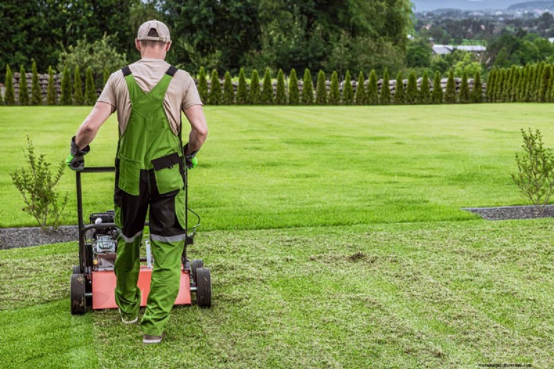 Gazonbeluchters huren bij Lowe s:beschikbaarheid en hoe 