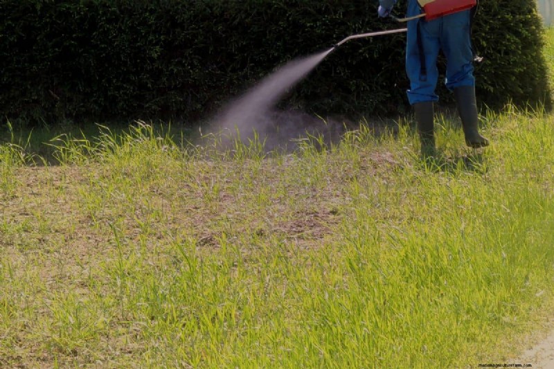 Vervanging van de Roundup Wand-batterij:een eenvoudige stapsgewijze handleiding 