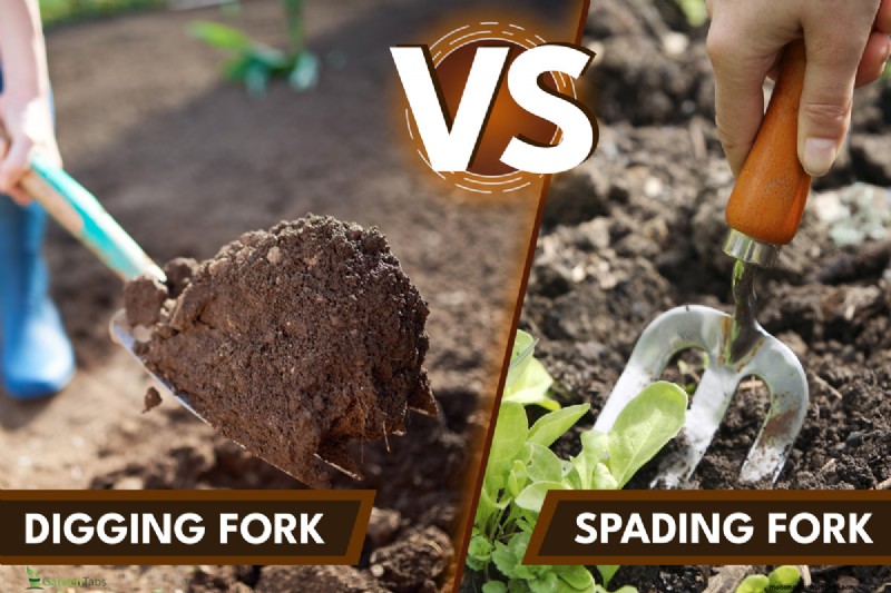 Spatengabel vs. Grabegabel:Wählen Sie das richtige Werkzeug für Ihren Garten 