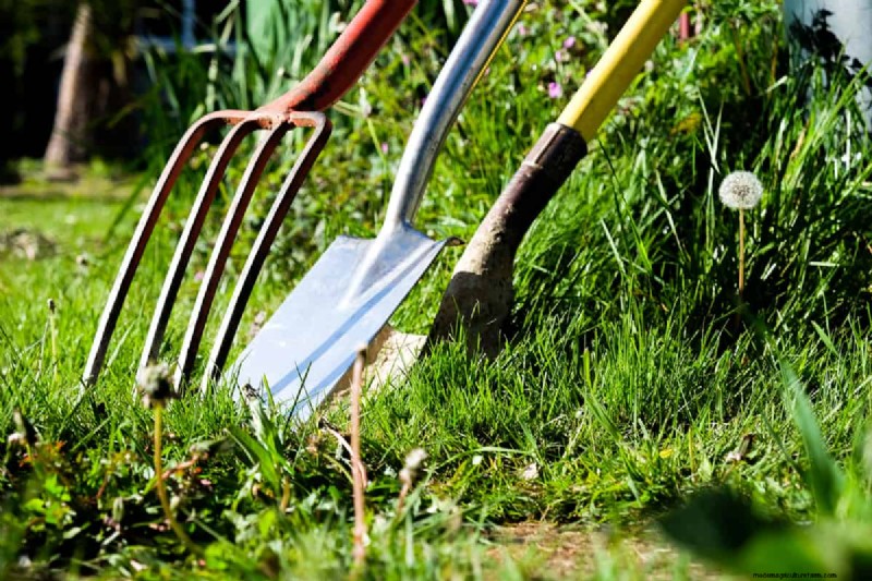 Spatengabel vs. Grabegabel:Wählen Sie das richtige Werkzeug für Ihren Garten 