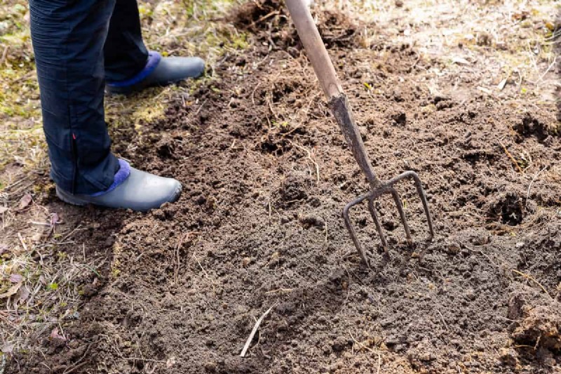 Spatengabel vs. Grabegabel:Wählen Sie das richtige Werkzeug für Ihren Garten 