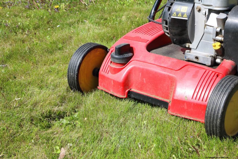 Elektrischer Vertikutierer von Greenworks:Eine vollständige Anleitung zur Bedienung 
