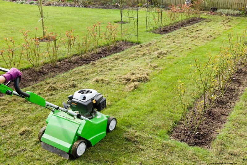 Elektrischer Vertikutierer von Greenworks:Eine vollständige Anleitung zur Bedienung 