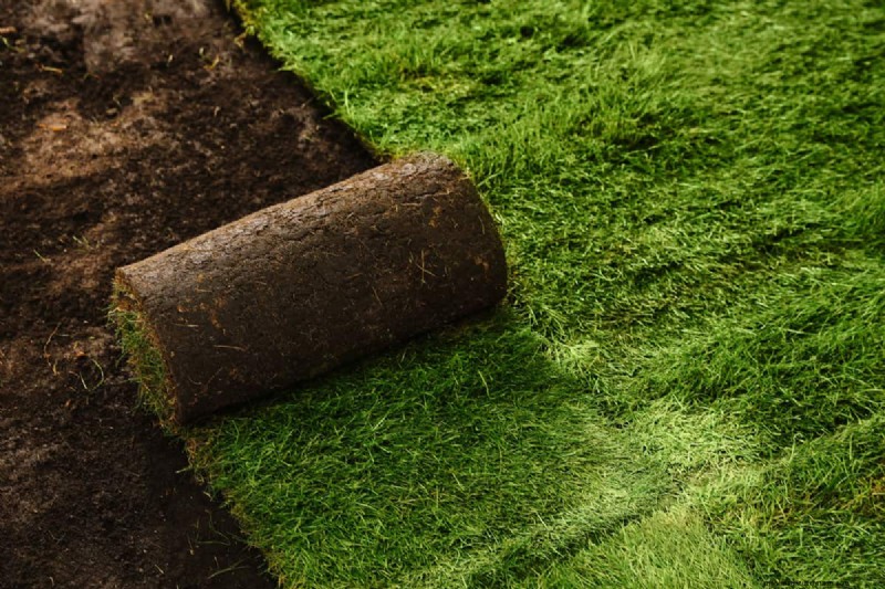 Dimensioni dei pallet di zolle:calcola le esigenze del tuo progetto di prato 