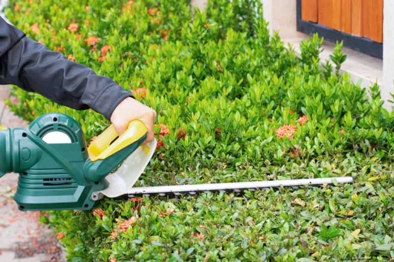 Ryobi-Heckenschere:Eine umfassende Schritt-für-Schritt-Anleitung 