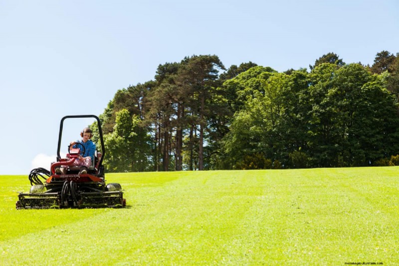 トラブルシューティング:Toro 乗用芝刈り機が動かないのはなぜですか? (解決策と修正) 