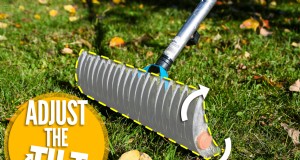 Craftsman Reetrechen:Eine vollständige Schritt-für-Schritt-Anleitung für die Rasenpflege 