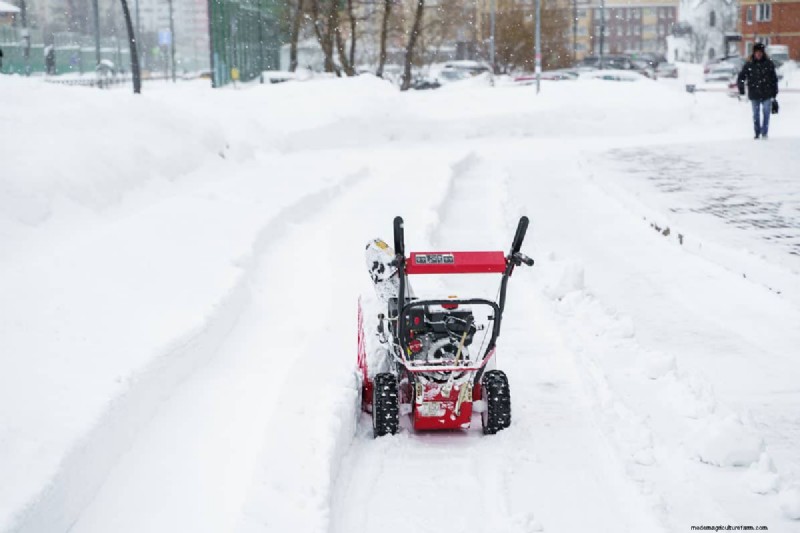 Troy-Bilt versus Toro-sneeuwblazers:een uitgebreide vergelijking 