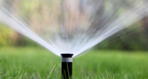 Hunter sprinklerkop vervangen:een complete stap-voor-stap handleiding 