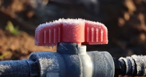 Tropfbewässerung winterfest machen:Schützen Sie Ihr System vor dem Einfrieren 