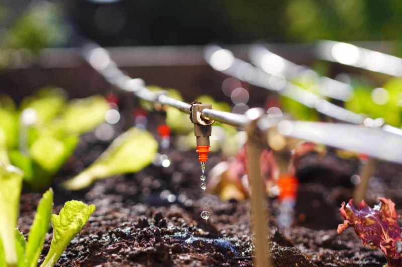 Druppelirrigatie in de winter:bescherm uw systeem tegen bevriezing 