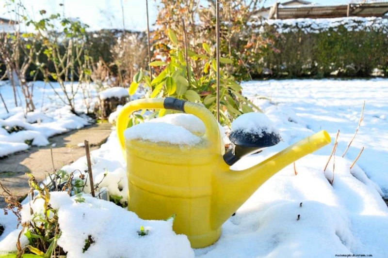 Druppelirrigatie in de winter:bescherm uw systeem tegen bevriezing 