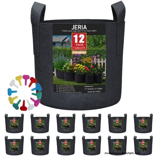Gids voor het planten van penwortels:optimale lengte en verzorging 